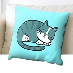  Cushion
